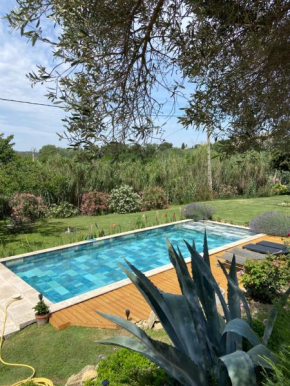 Maisonnette et piscine